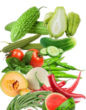 CABE BESAR/RAWIT, TOMAT, KACANG PANJANG, TIMUN, PARIA, LABU SIAM, LABU, OYONG, SEMANGKA & MELON
