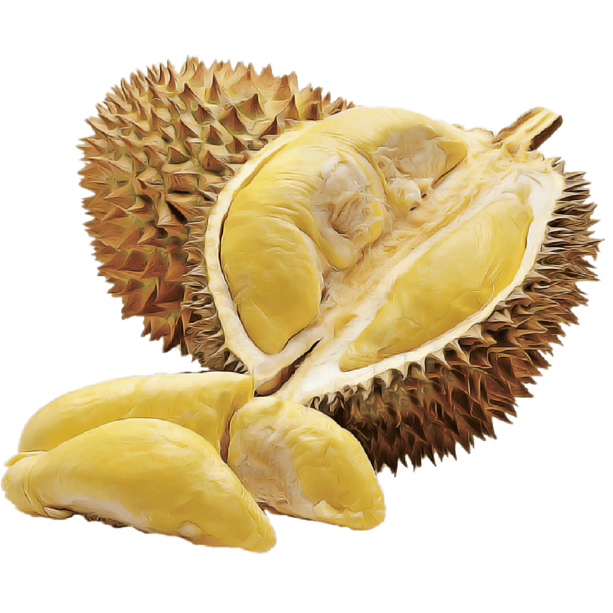 DURIAN