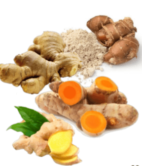 TAMANAN JAHE, KENCUR, LENGKUAS & KUNYIT