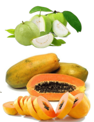 PEPAYA KALIFORNIA & JAMBU KRISTAL