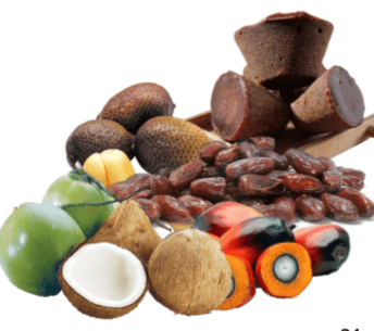 KELAPA SAWIT, KURMA, KELAPA, SALAK, SAGU, AREN DAN PINANG