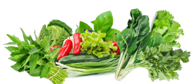 SAWI, SELEDRI, KOL, SELADA, SOSIN, BAYAM, KANGKUNG & KEMANGI
